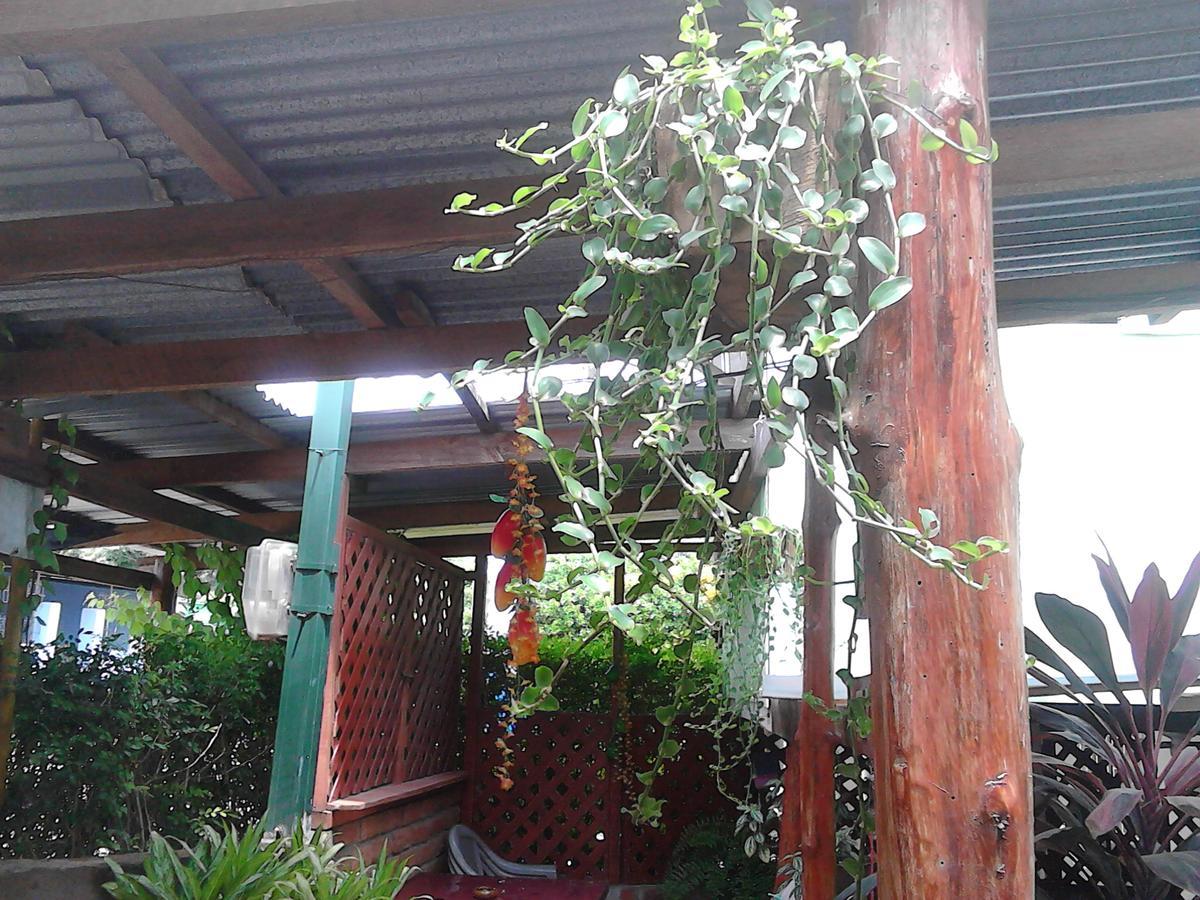 Hostel Julieta Rivas Bagian luar foto
